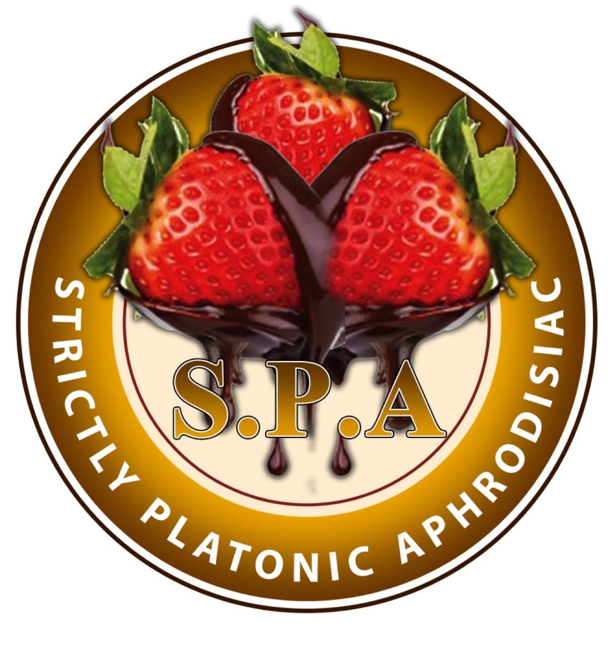 Strictly Platonic Aphrodisiac Cleaning Services LLC